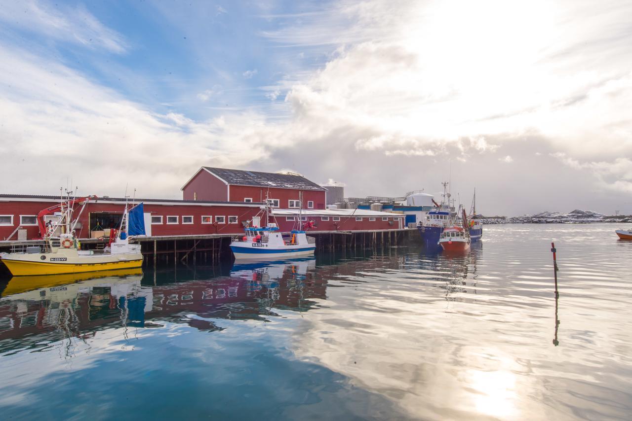 Hattvika Lodge Ballstad Eksteriør billede